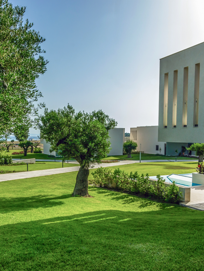 DELUXE ROOM GARDEN VIEW